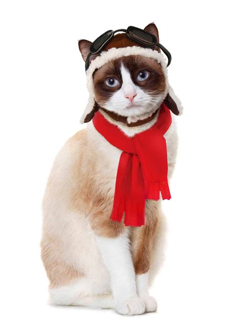 Cat Costumes - Pet Costume Center