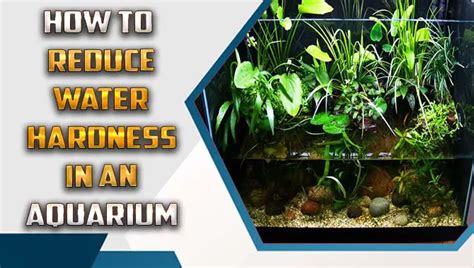 How To Reduce Water Hardness In An Aquarium Meekbond