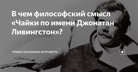 В чем философский смысл «Чайки по имени Джонатан Ливингстон»? | Правое ...