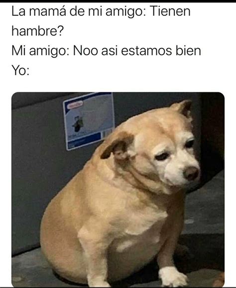 Pin De Naho 모리⁷ En Memeeees Memes Divertidos Meme Gracioso Memes