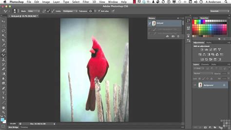 Adobe Photoshop Cs6 Tutorial Color Replacement Infiniteskills Youtube