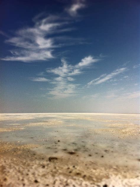 Elevation of Dhordo Kutch Rann Utsav -19, White Rann Resort, White Dessert Road, Dhordo, Gujarat ...