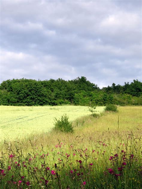 La Campagne Gersoise Claude HERRADA Flickr