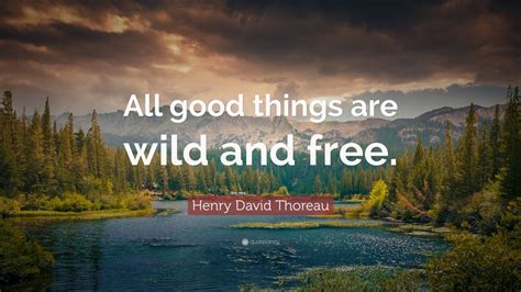 Henry David Thoreau Quote All Good Things Are Wild And Free” 22