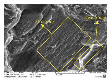 The Morphology Of Tear Ridges And Striations In The Propagation Region