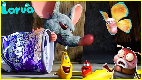 🍅🍅🍅larva Season 3 Episode 1 104 🍅🍅🍅 Cartoon Compilation 🍅🍅🍅 Cartoons