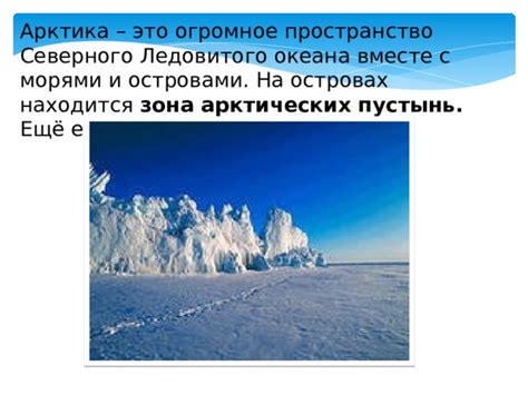 Зона арктических пустынь