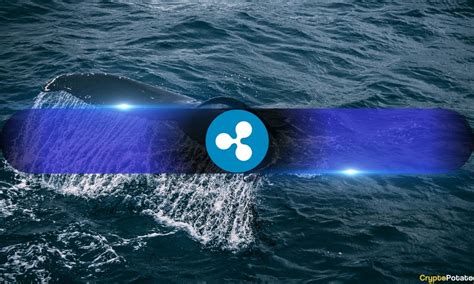 What S Going On Ripple Whales Holding Over M Xrp At Year High