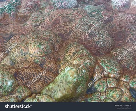 Underground Hot Water Source Colors Changes Stock Photo 2232853761 Shutterstock