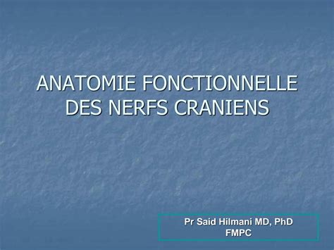 Solution Nerfs Cr Niens Semio Et Anatomie Studypool