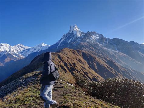 Mardi Himal Trek 7 Days 2024 Cost Itinerary And Map Nepal Trek Routes