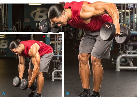 Best Dumbbell Exercises For Rear Deltoids OFF 63