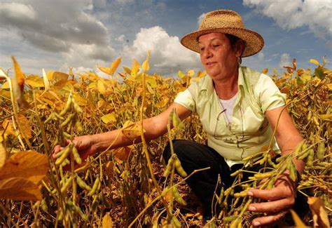 Agroinspiradoras Mulheres que fazem a diferença no agro