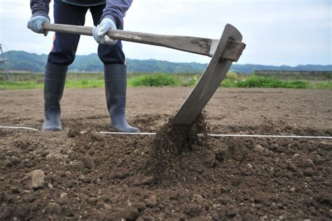 鍬くわのおすすめ人気17品。プロ愛用女性も使いやすい人気アイテムを種類別にご紹介 Trustcellar トラストセラー