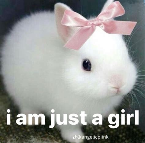 Im Just A Girl 🎀🎀 Bunny Meme Coquette Girly