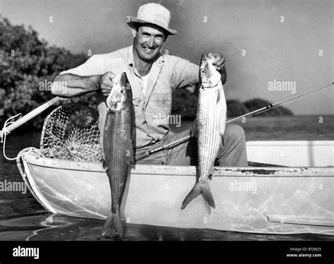 Ted Williams Baseball Black And White Stock Photos Images Alamy