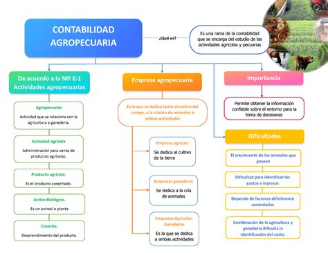 Mapa Conceptual Sobre La Contabilidad Agropecuaria Contabilidad Agropecuaria Es Una Rama De La