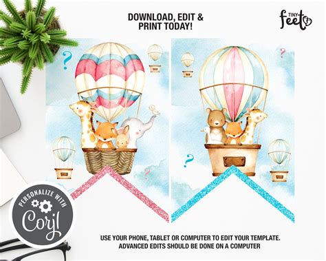 Hot Air Balloon Gender Reveal Baby Shower Banner Hot Air Etsy