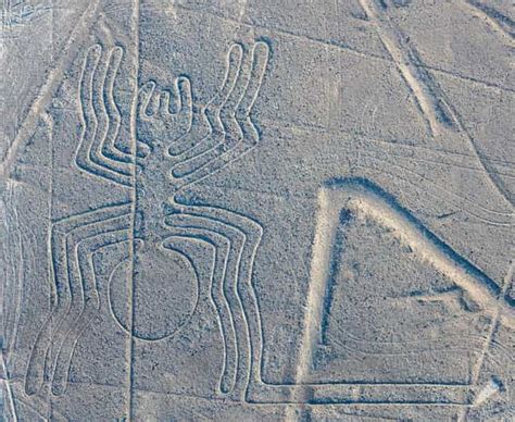 Desde Ica Vuelo Sobre Las L Neas De Nazca Getyourguide