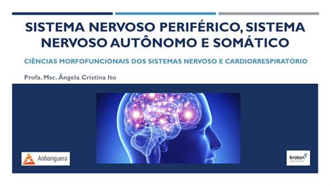 Pdf Sistema Nervoso Perif Rico Sistema Nervoso Aut Nomo E