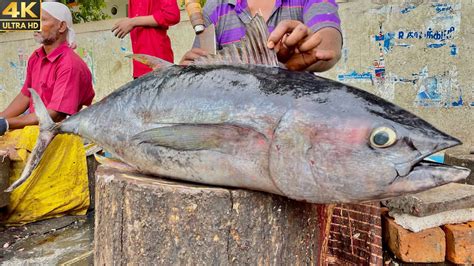 Kasimedu Big Tuna Fish Cutting In Kasimedu Fish Cutting Skills