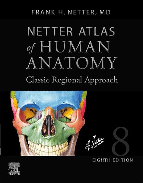 Netter Atlas Of Human Anatomy Classic Regional Th Edition Frank H