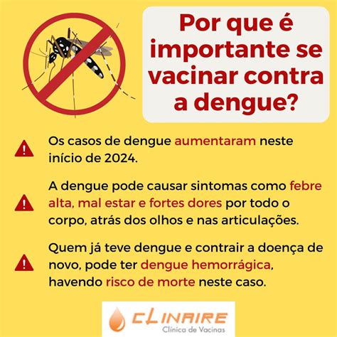 Dengue Entenda O Aumento De Casos E Como Funciona A Vacina