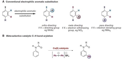 Making Meta Arylated Anilines Attainable With Flow Behind The Scenes