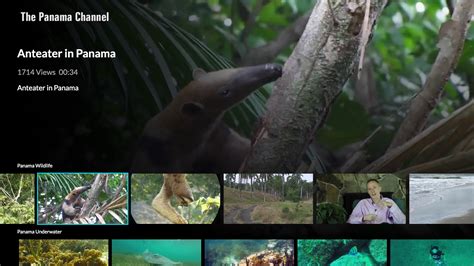 The Panama Channel:Amazon.de:Appstore for Android