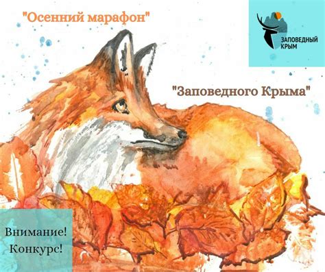 Внимание, конкурс!!!