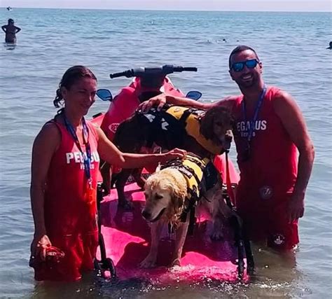 Jesolo giovane donna straniera soccorsa in mare dalle unità cinofile