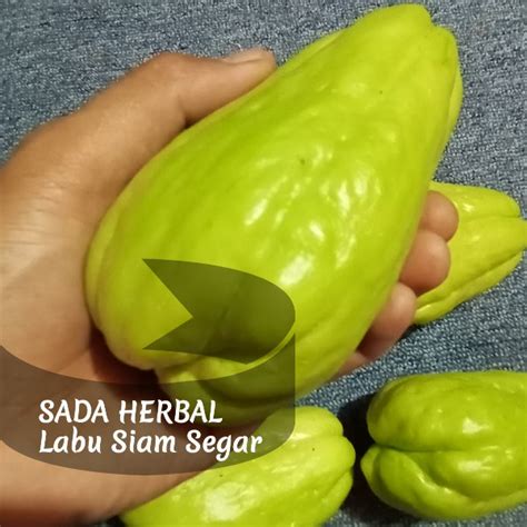 Jual Labu Siam Waluh Jipang Gambas Chayote Segar Kg Shopee Indonesia