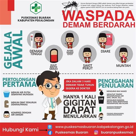 Waspada Demam Berdarah Dengue Dbd