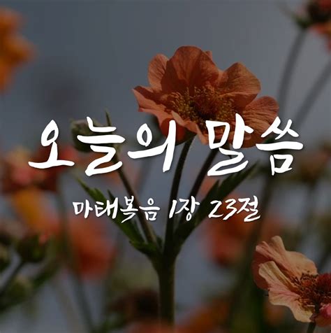 마태복음 1장 23절 임마누엘 오늘의 말씀