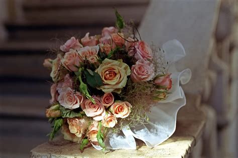 Hochzeit Blume Rose Kostenloses Foto Auf Pixabay Pixabay