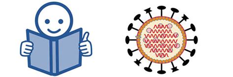 Informationen Zum Corona Virus In Leichter Sprache