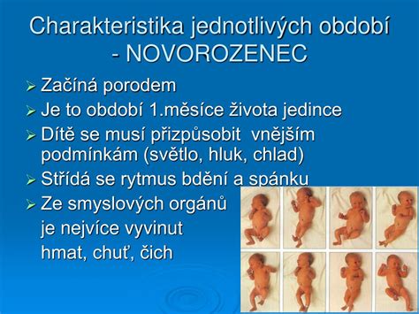 Ppt St Dia Lidsk Ho V Voje A Jejich Psychick Zvl Tnosti Powerpoint