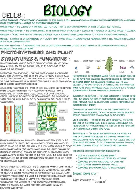 Gcse Biology Cells Photosynthesis Plant Functions And Structure In