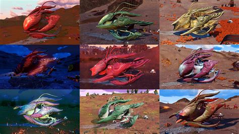 736 Best Living Ship Images On Pholder No Mans Sky The Game NMS