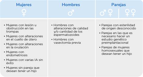 ¿qué Es Fecundación In Vitro Fiv Ivi