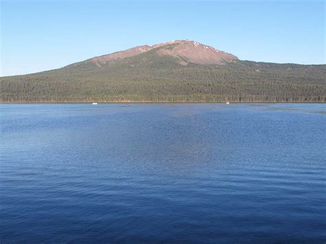 Diamond Lake Oregon Northwest Wildflowers