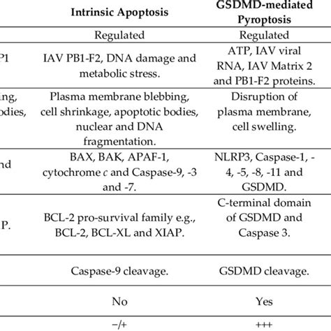 Cell death pathways and their features. | Download Scientific Diagram