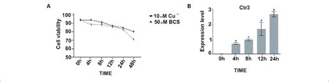 Viability Of P Brasiliensis At Different Time Points Of Copper