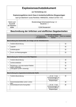 Anhang Muster F R Ein Explosionsschutzdokument