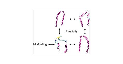 Insight Into α Synuclein Plasticity And Misfolding From Differential