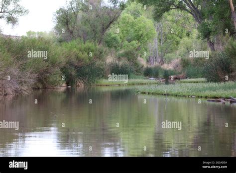 The Mighty San Pedro River Stock Photo Alamy
