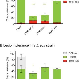 The Four Cellular Functions Of The RecA Protein In Escherichia Coli