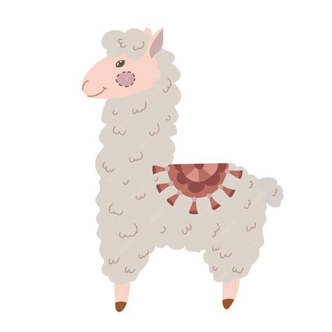 Alpaca Of Lama Ontdek Welke Lieveling Het Best Bij Jou Past