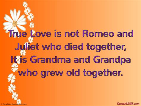 Romeo And Juliet Death Quotes. QuotesGram