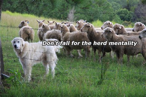 Break Out Of The Herd Mentality Reach Your Life Goals